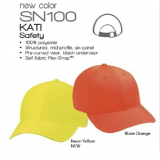 SN100
