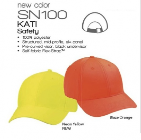 SN100